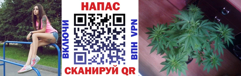 Где купить наркоту Ноябрьск МАРИХУАНА КОКАИН Alpha-PVP Лсд 25 Гашиш МЕФ