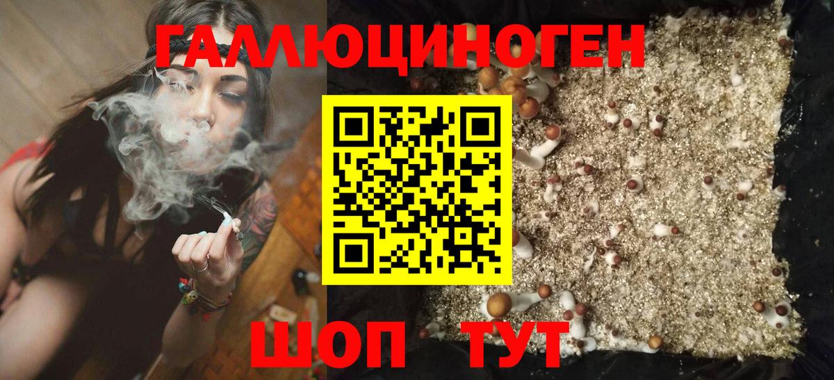 Галлюциногенные грибы мицелий  хочу   Ноябрьск  Вход с VPN 